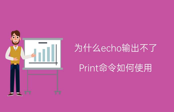 为什么echo输出不了 Print命令如何使用？